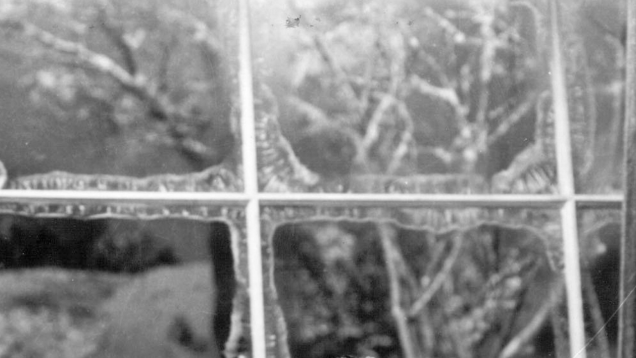 Christmas in Connecticut 1945 background