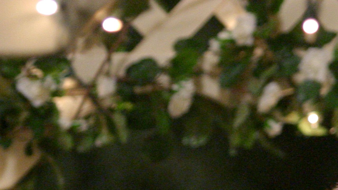 leaves and twinkle lights