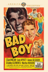 Bad Boy poster
