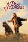 Dog of Flanders keyart
