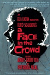 Face in the Crowd keyart