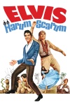 Harum Scarum keyart