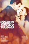 Splendor in the Grass keyart